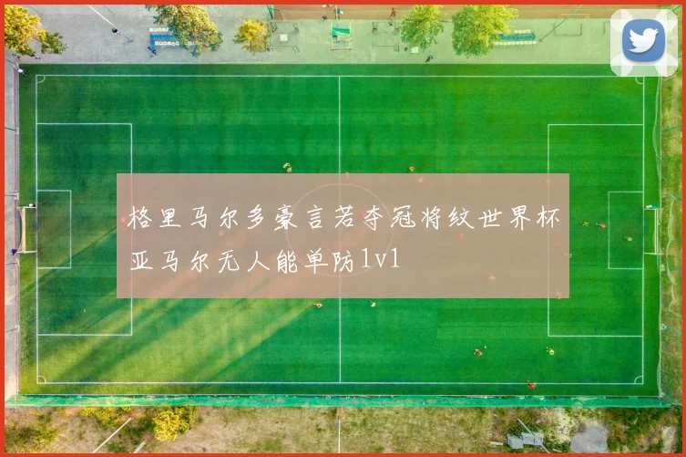 格里马尔多豪言若夺冠将纹世界杯亚马尔无人能单防1v1